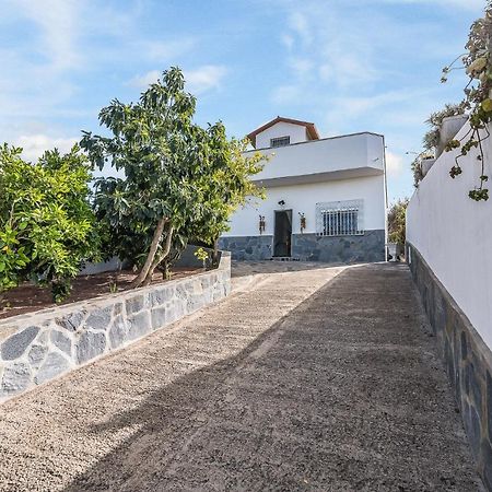 Raices Vivas Vivienda Vacacional Vega de San Mateo Ngoại thất bức ảnh