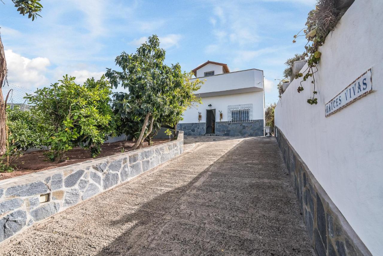 Raices Vivas Vivienda Vacacional Vega de San Mateo Ngoại thất bức ảnh